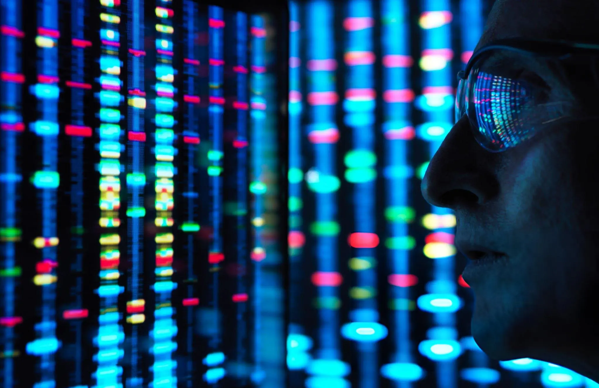 competenze informatiche nel cv